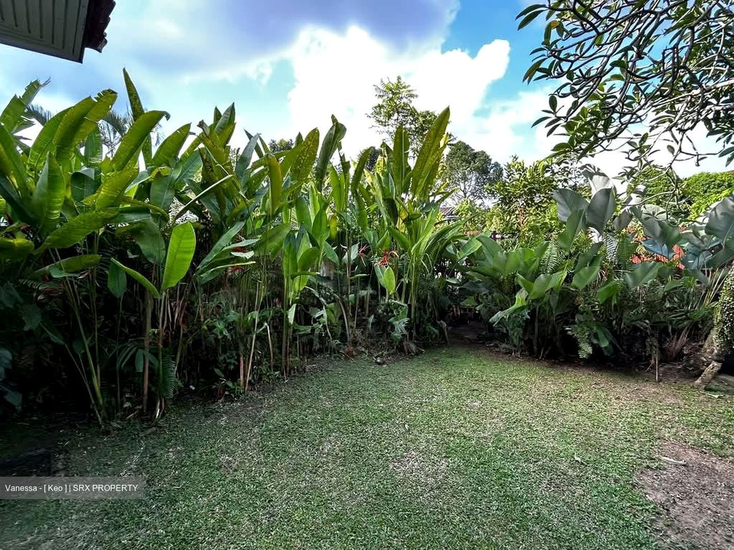 Hock Seng Park (D21), Detached #630209421